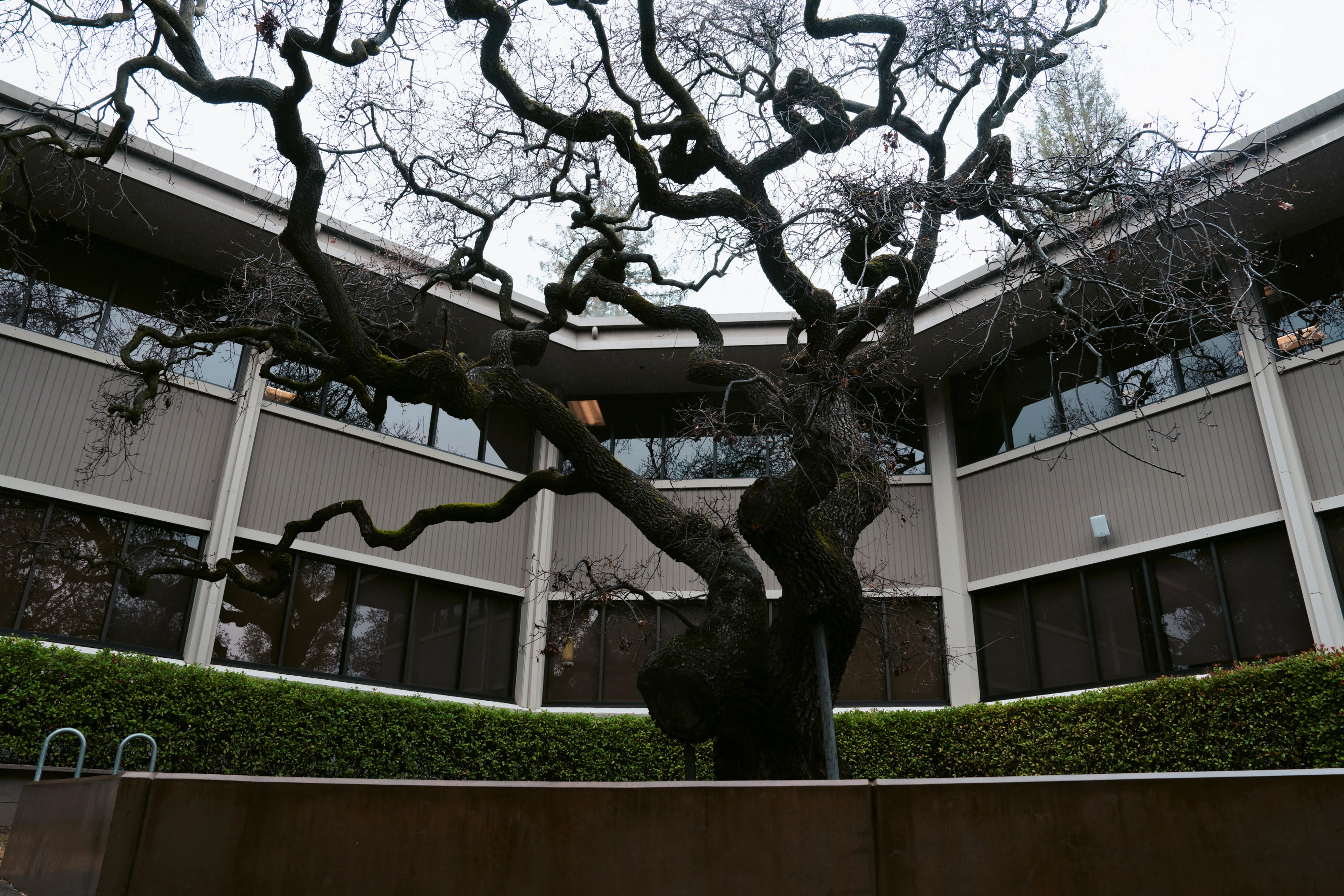 silicon valley sup do anh 1