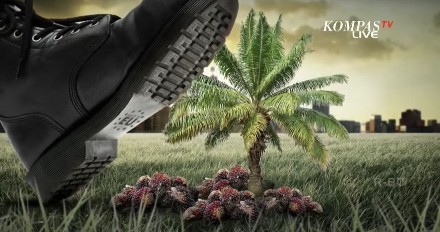 tranh chap dau co anh 1