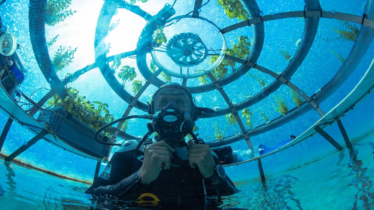 Tuong lai cua nong nghiep nam duoi bien sau hinh anh