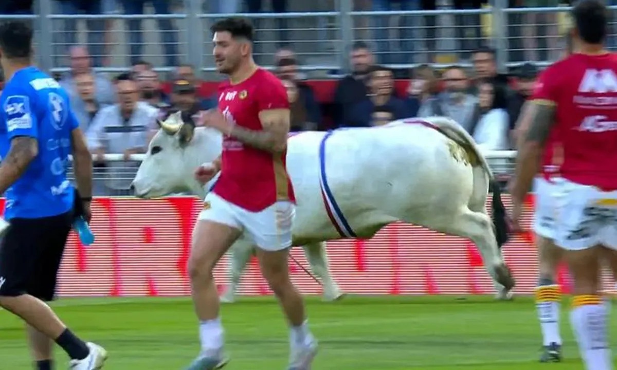 Bo duc hung du ruot duoi cau thu khap san truoc tran dau o Phap hinh anh