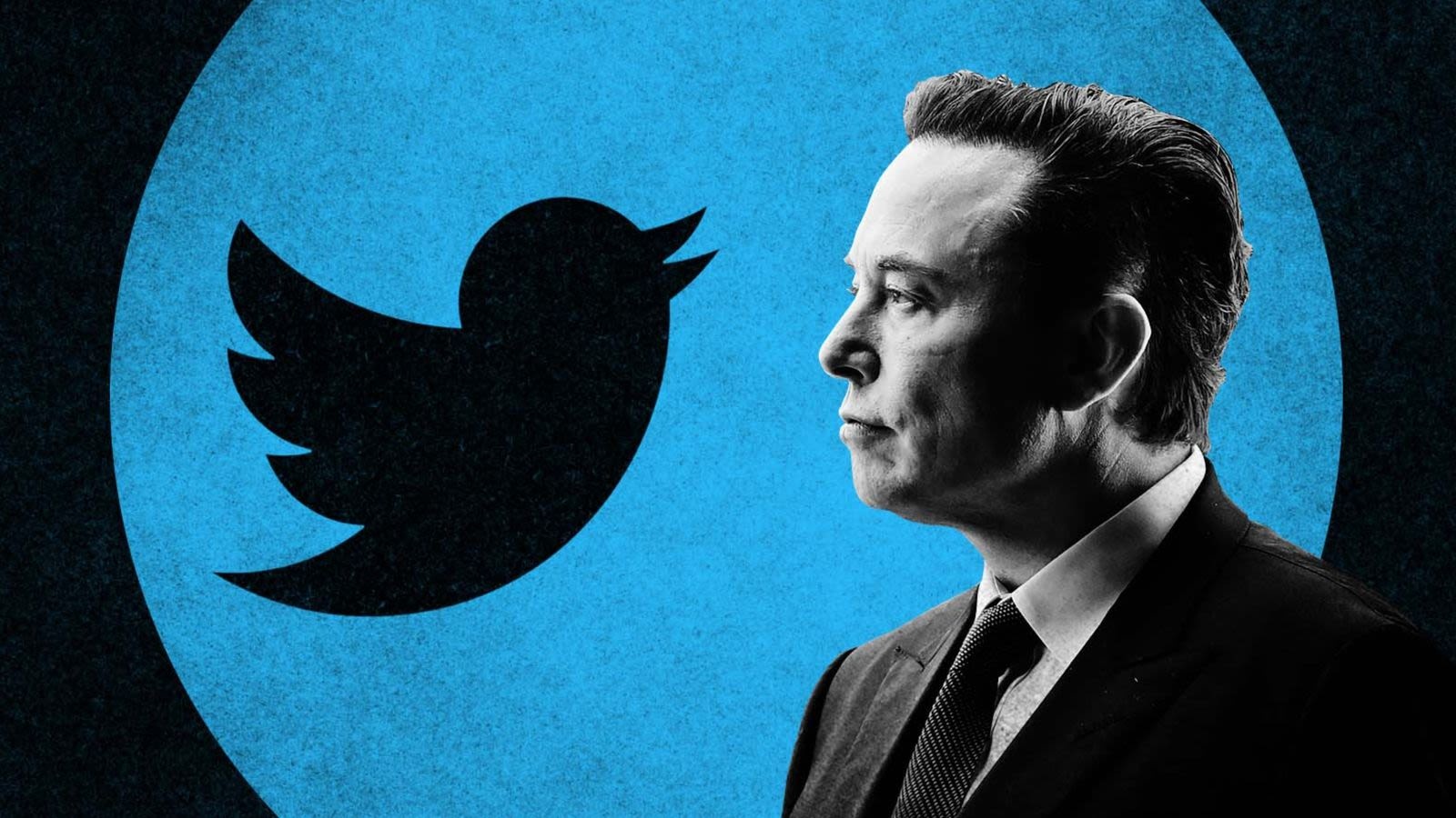 Elon Musk tuyen bo da tim duoc CEO cho Twitter hinh anh