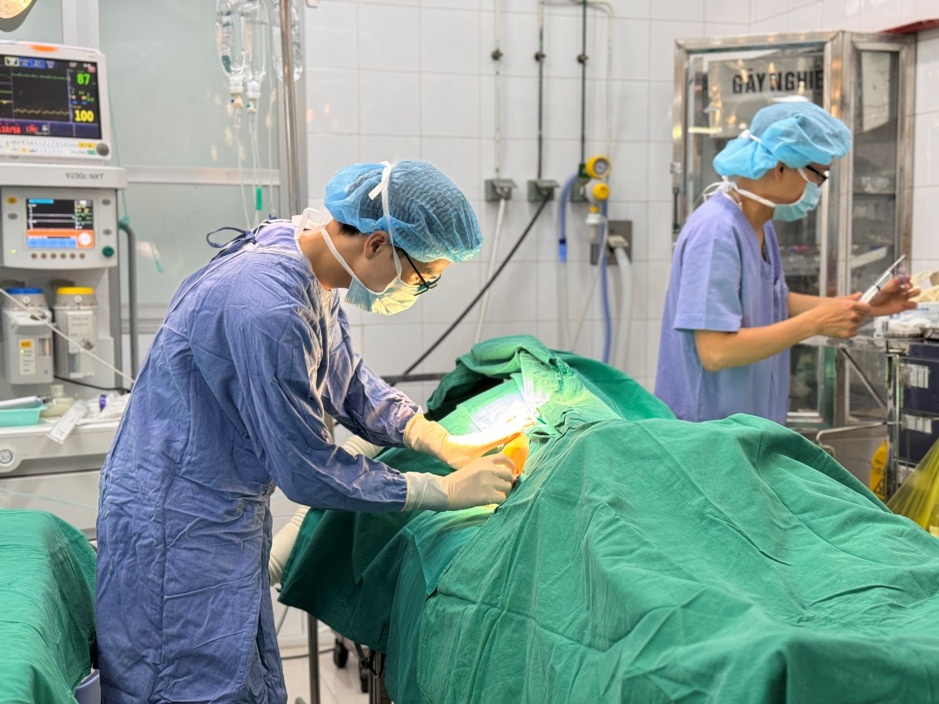 sap tran go truong hoc anh 1