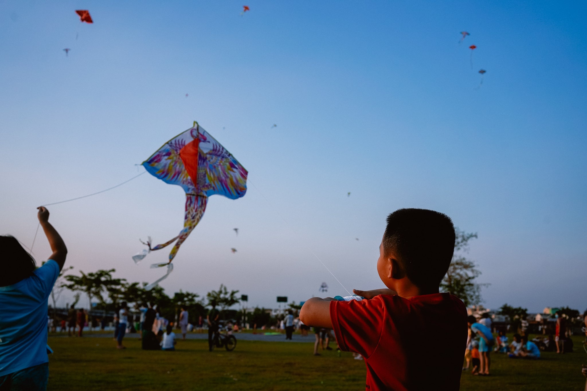 địa điểm thả diều ở tp.hcm ảnh 4 dia diem tha dieu o tp.hcm anh 4