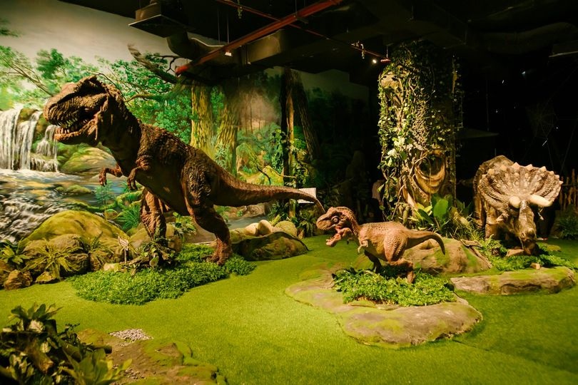 Ba san choi moi cho ky nghi cuoi tuan cua tre tai TP.HCM hinh anh