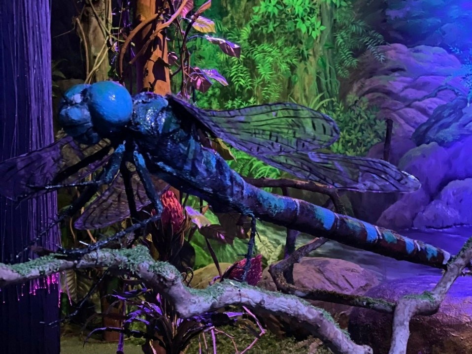 khu vui choi tre em tai tp.hcm anh 6