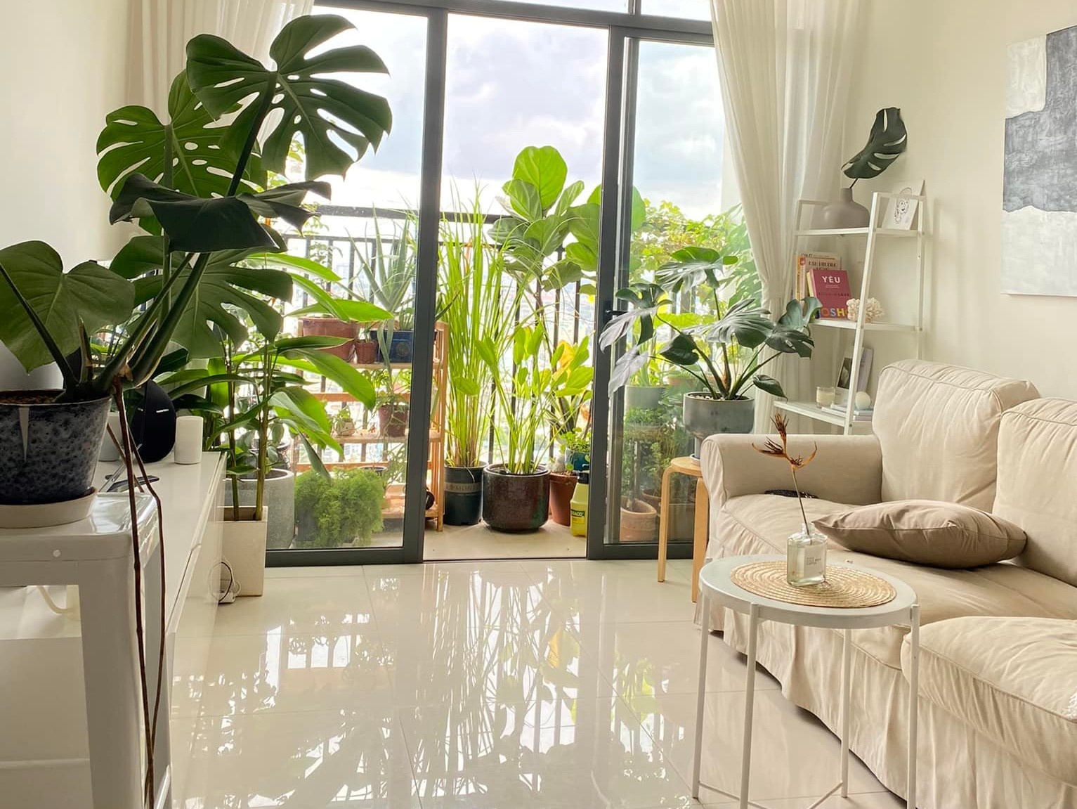 Lam vuon tren ban cong: 'Nhat giong, nhi dat, tam can, tu nang' hinh anh