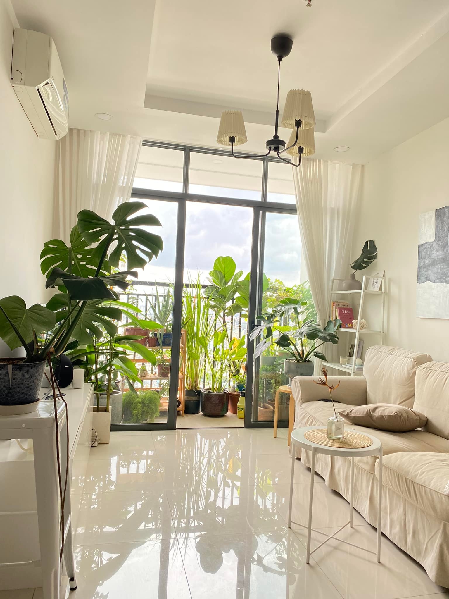 Lam vuon tren ban cong: "Nhat giong,  nhi dat,  tam can,  tu nang" anh 1