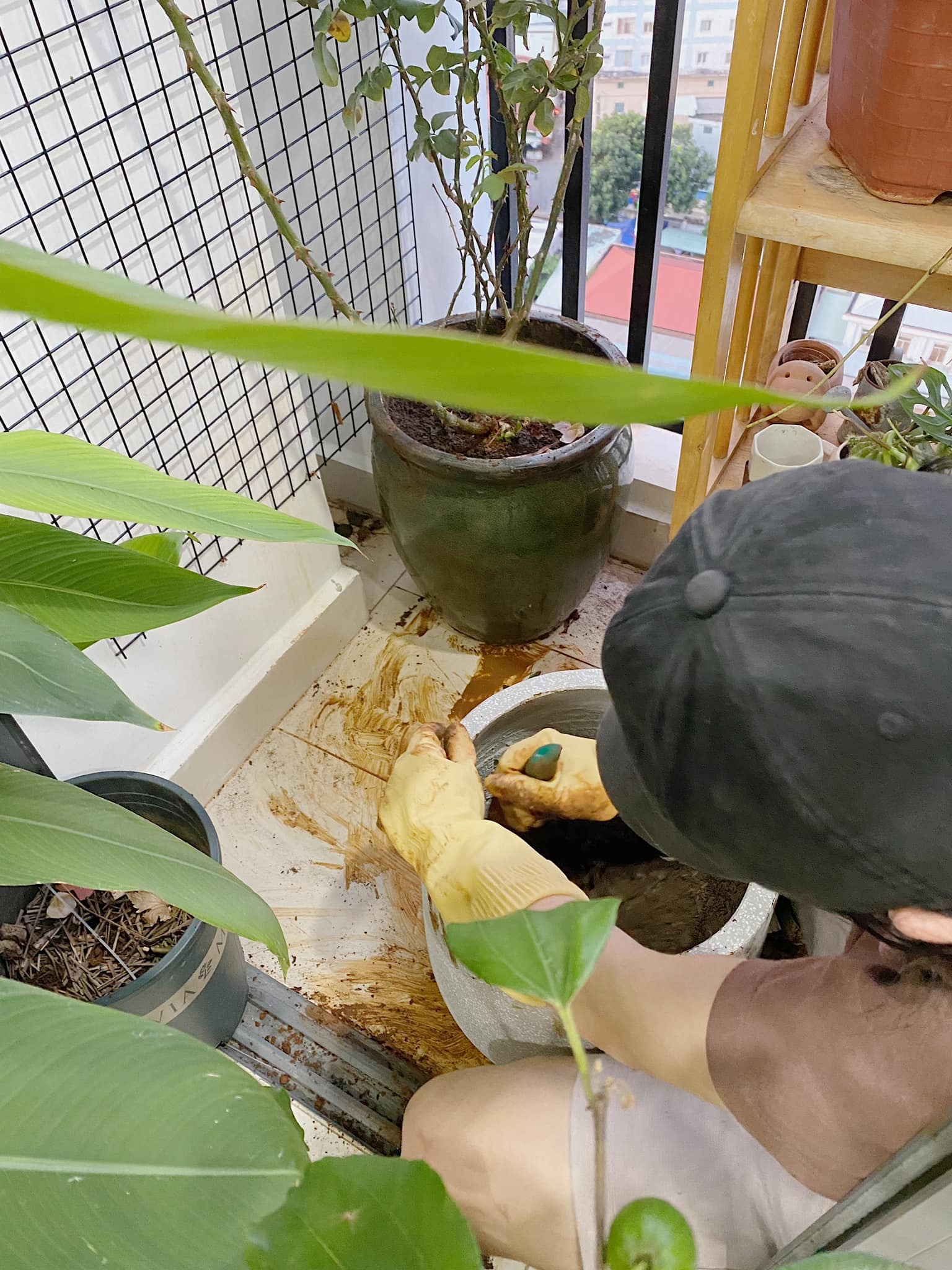 Lam vuon tren ban cong: "Nhat giong,  nhi dat,  tam can,  tu nang" anh 6