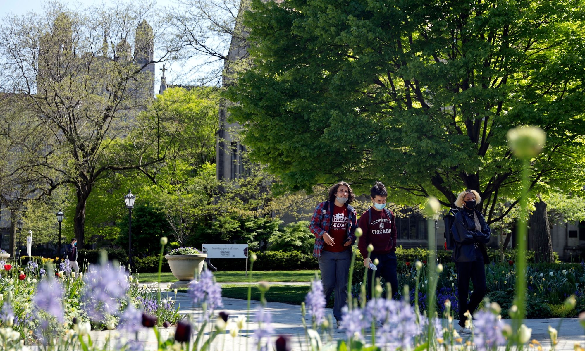 tuyen sinh dh tai My anh 1