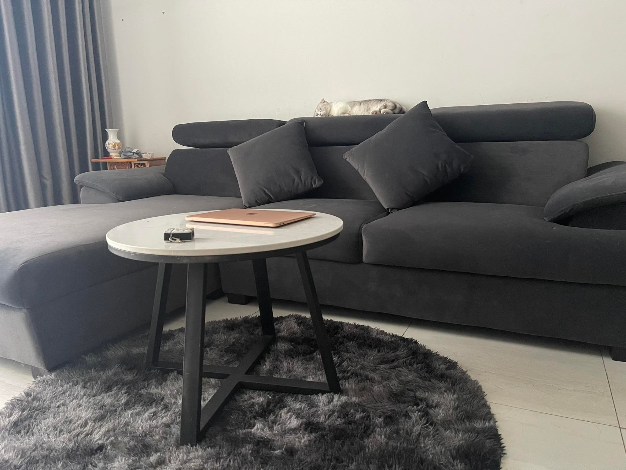 sinh vien co nha rieng anh 2