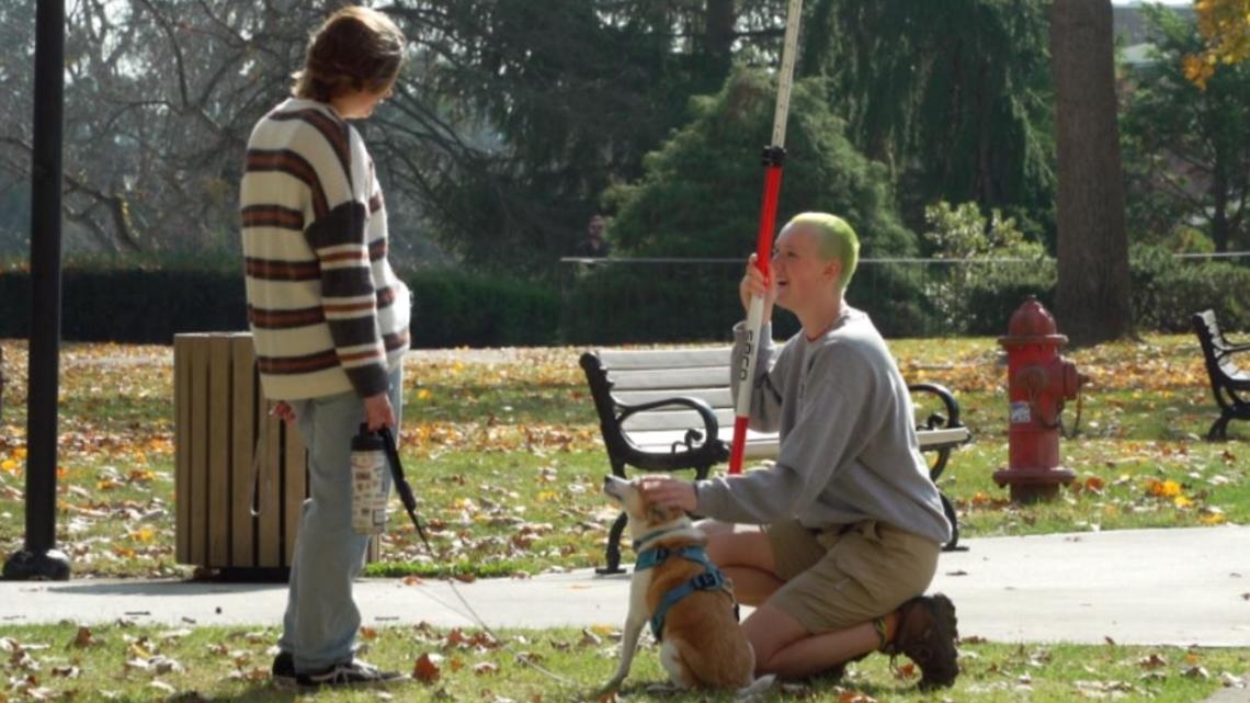 nuoi dong vat trong truong anh 2