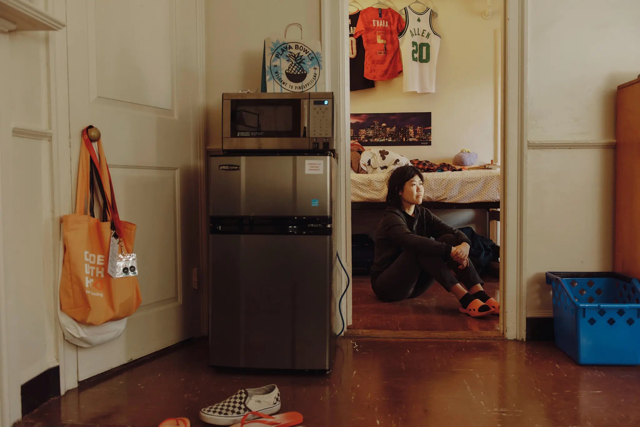 Che giau xuat than goc A khi nop don vao dai hoc My hinh anh