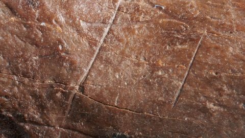 con người mặc trang phục  ảnh 1 con nguoi mac trang phuc anh 1