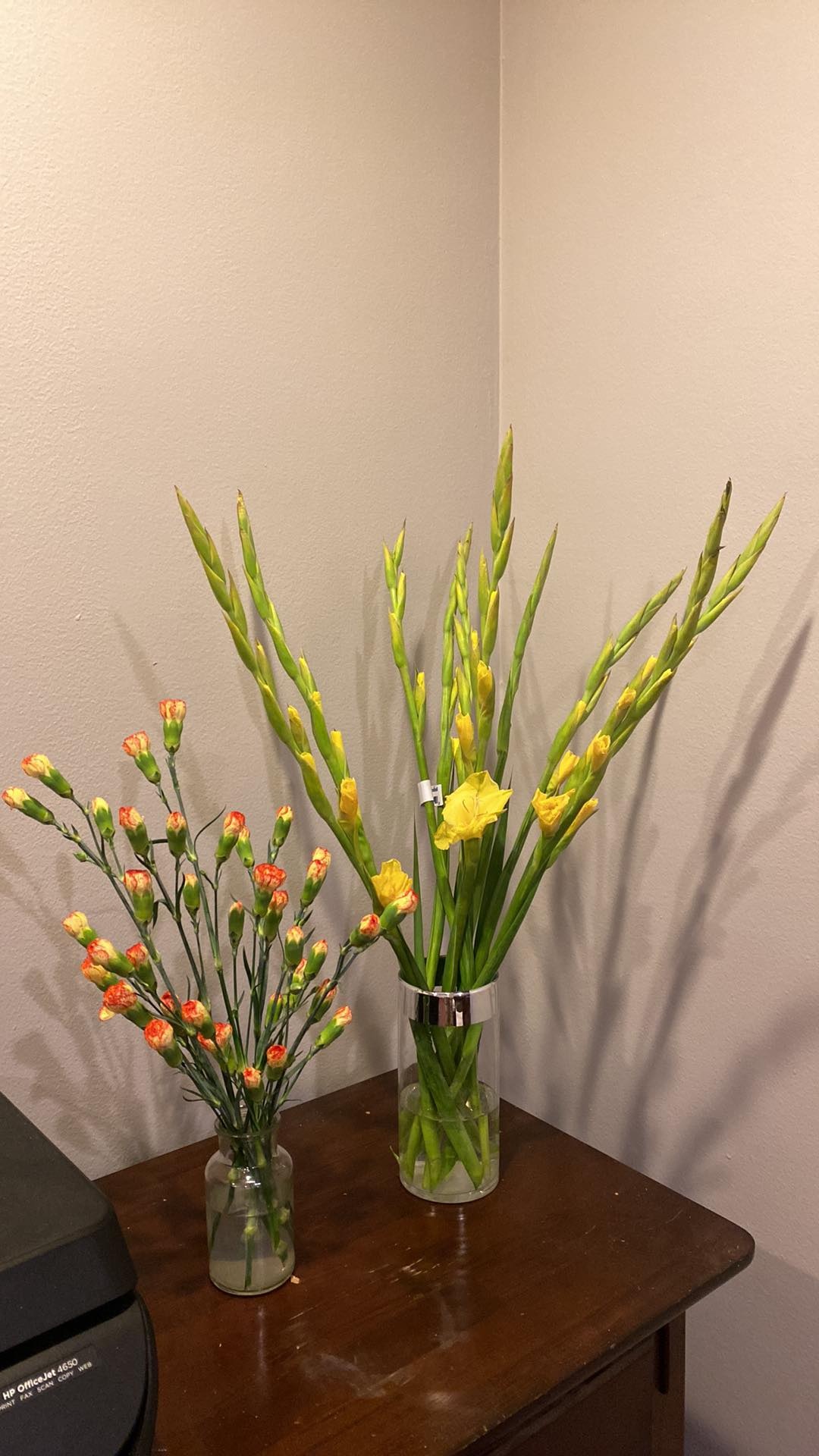 Tet Viet cua DHS anh 3