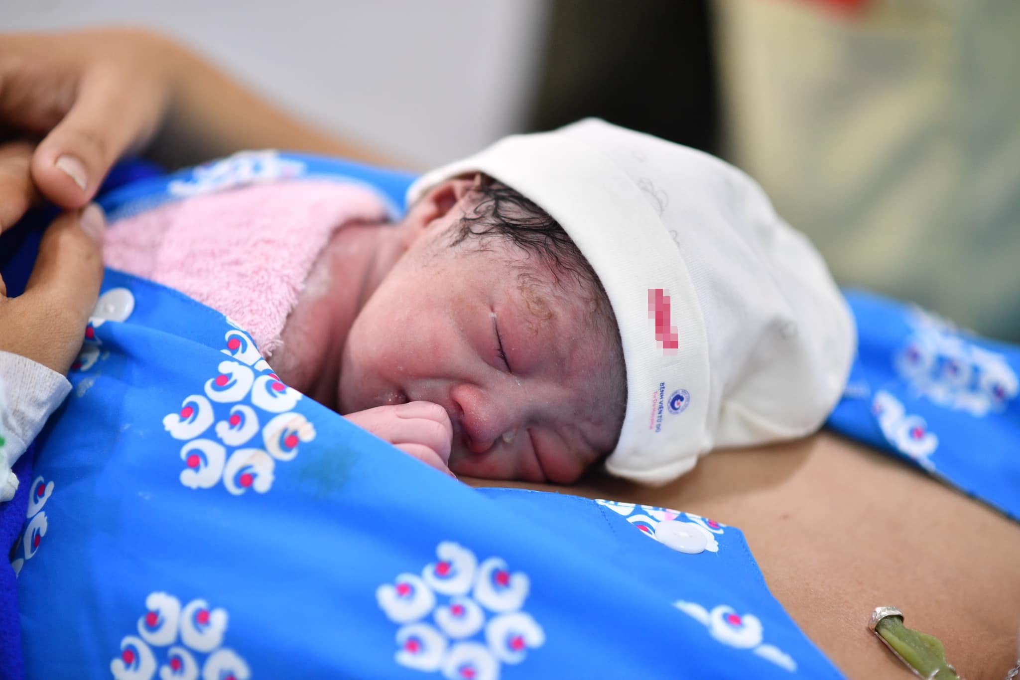 Nhung em be dau tien cua nam Quy Mao hinh anh