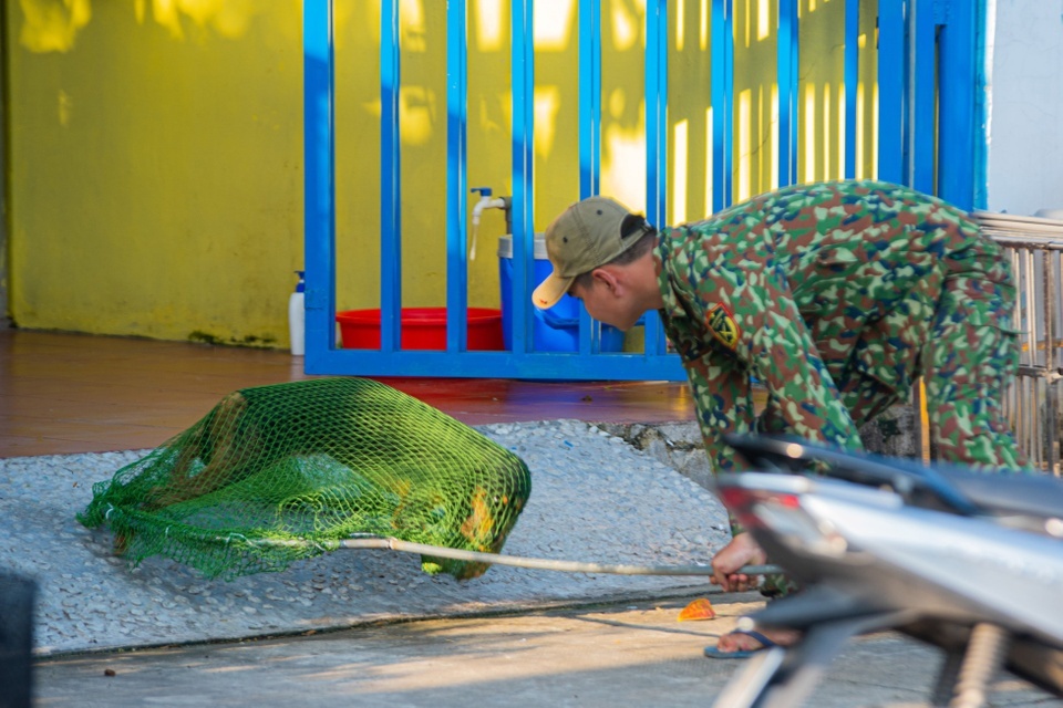 bệnh dại ảnh 2 benh dai anh 2