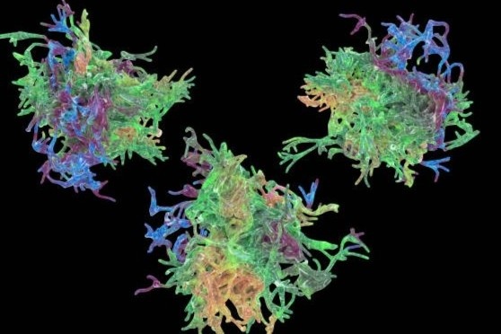 Nhiem trung an nao do rua mui bang nuoc chua loc hinh anh