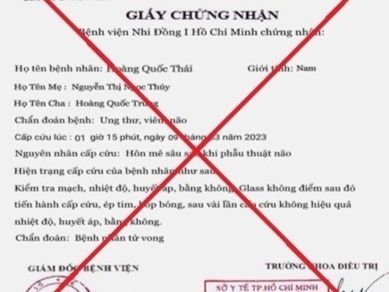 giả mạo bệnh viện  ảnh 2 gia mao benh vien anh 2