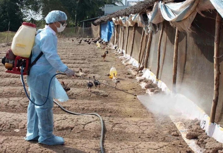 PGS.TS Tran Dac Phu: 'Phai danh gia muc do nguy hiem cua cum A/H5N1' hinh anh