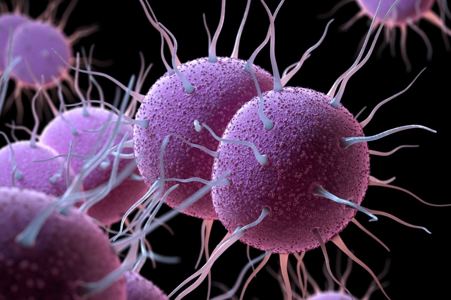 Can benh co the gay vo sinh o ca hai gioi hinh anh