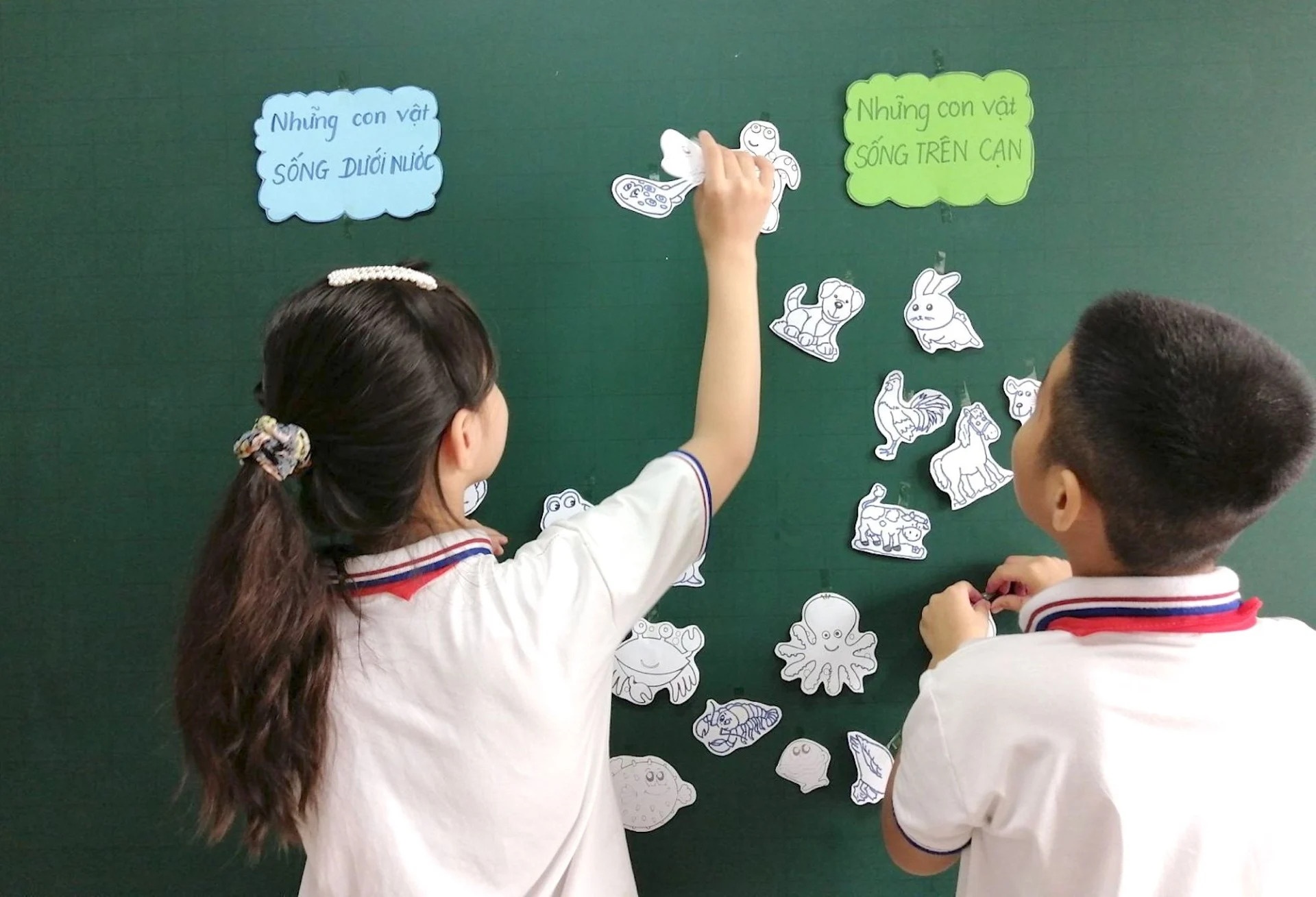 giao vien mon phu anh 1