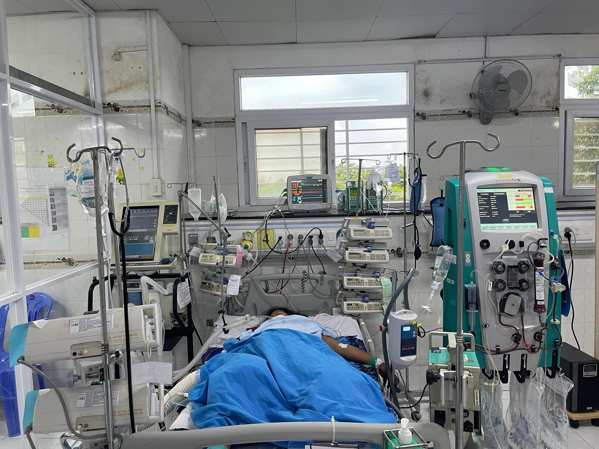 sot xuat huyet anh 1