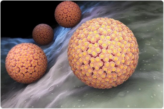 virus gay ung thu anh 1