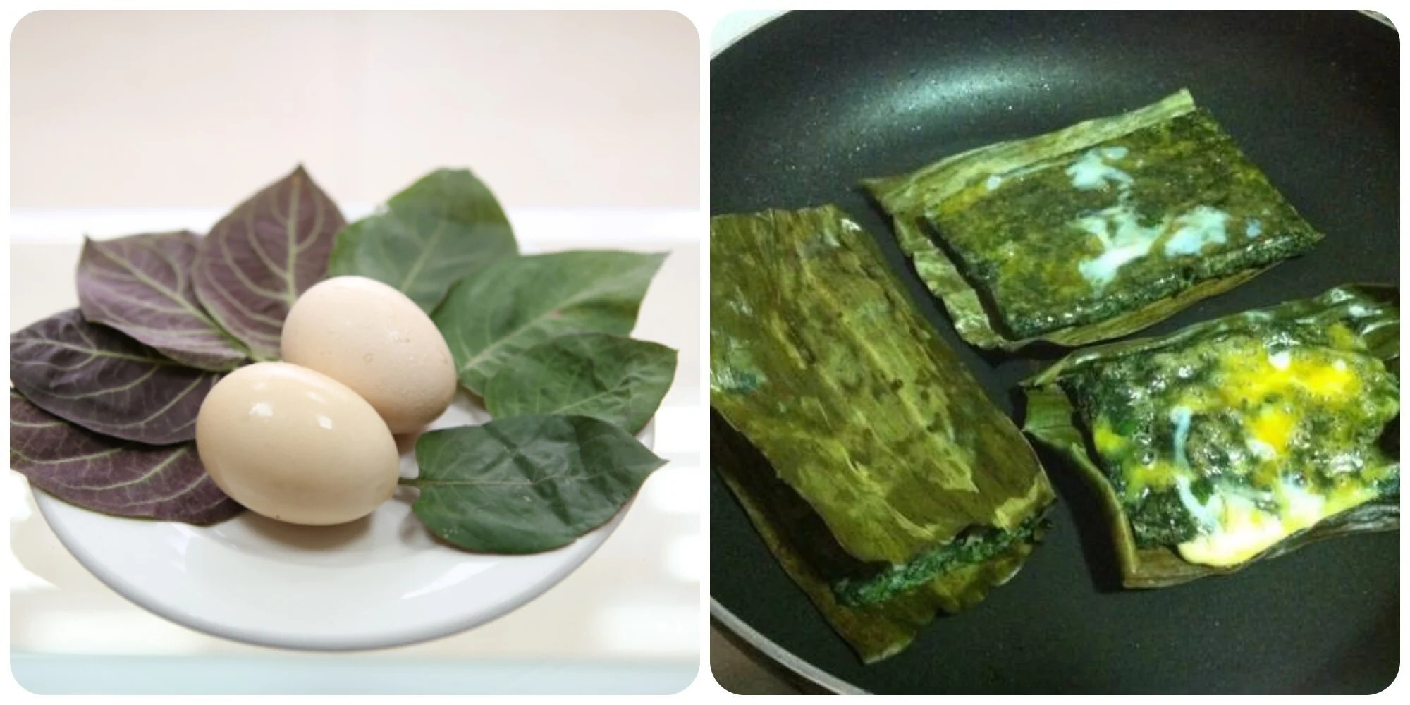 cong dung la mo long anh 2