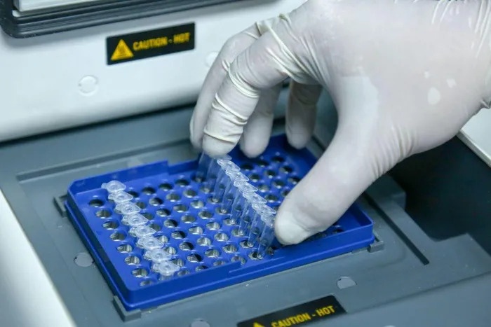 tan mau bam sinh anh 3