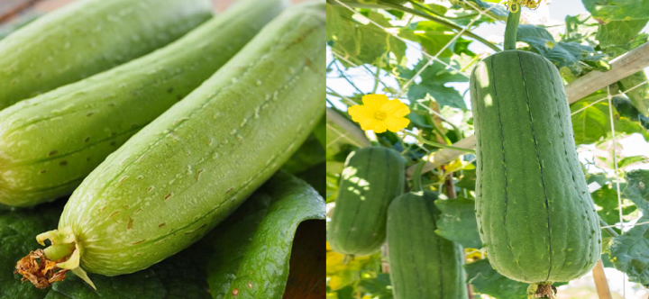 cach chon muop anh 1