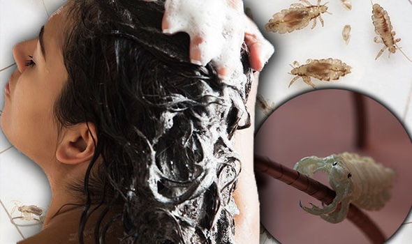 Mot lo my pham lam sach chay ran bi thu hoi tren toan quoc hinh anh