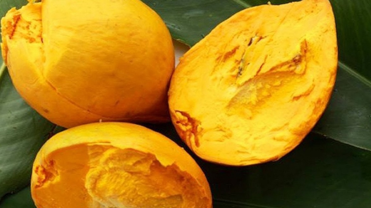 Qua trung ga le ki ma co tac dung gi? hinh anh