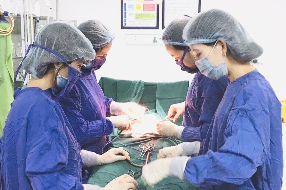 Thai phu mat 2 lit mau vi vo thai ngoai tu cung hinh anh