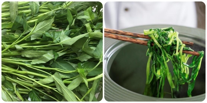 rau muong nhiem chi anh 1