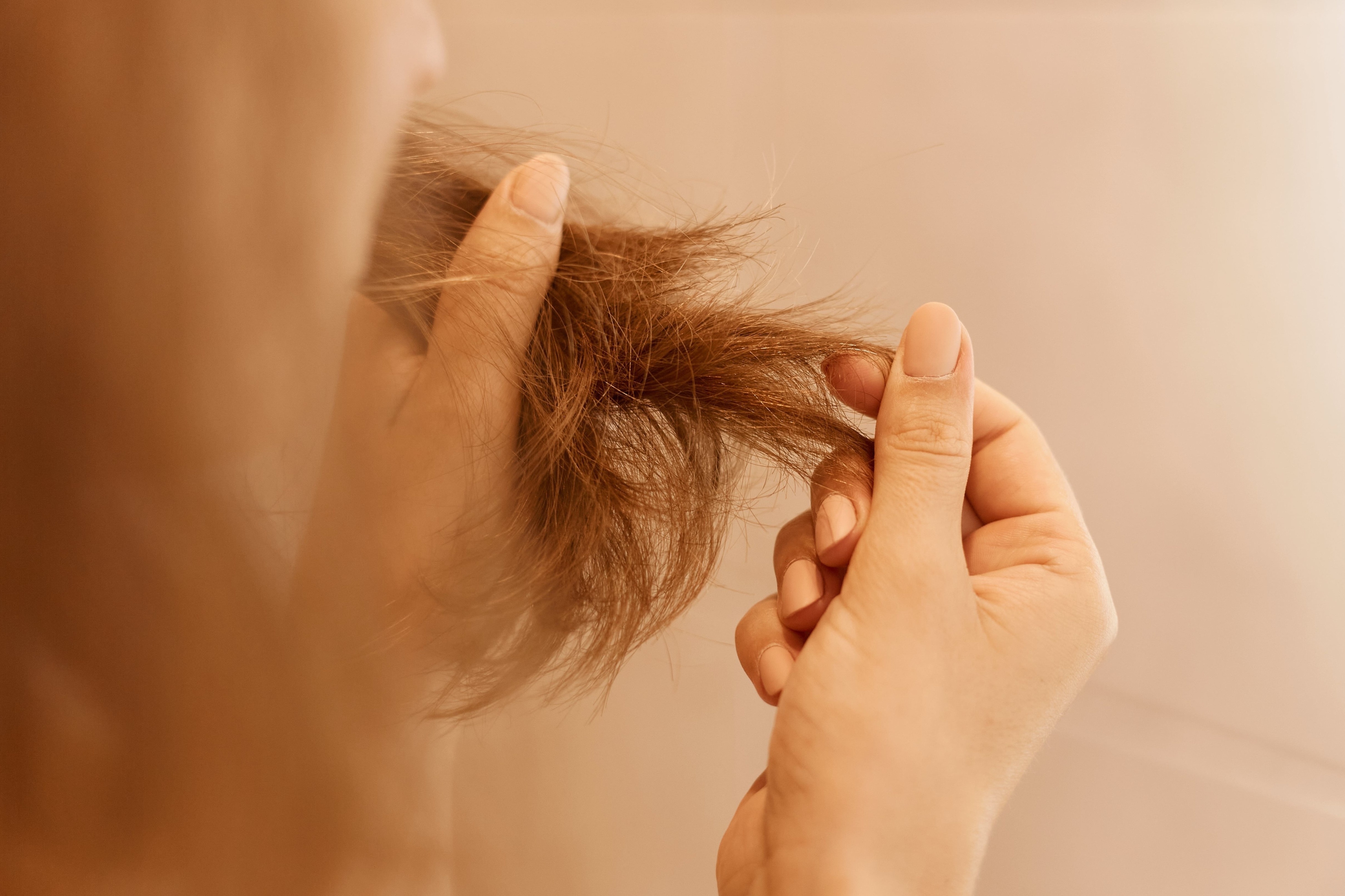 Thuc pham giup toc giam gay rung va chac khoe hon hinh anh