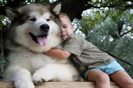 Chuyen gia canh bao de mac benh nguy hiem tu so thich nuoi thu cung hinh anh