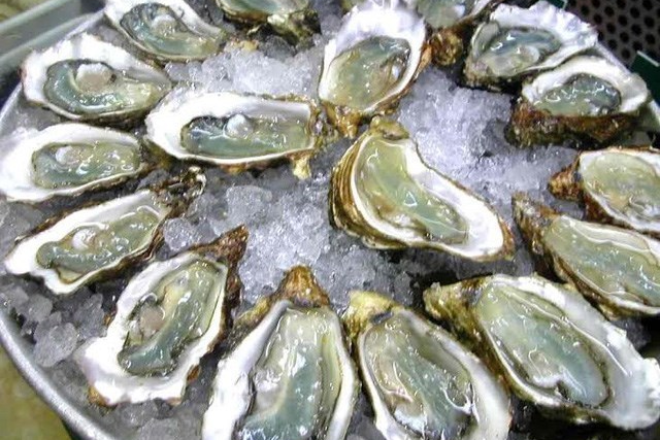 nam gioi an hau anh 1