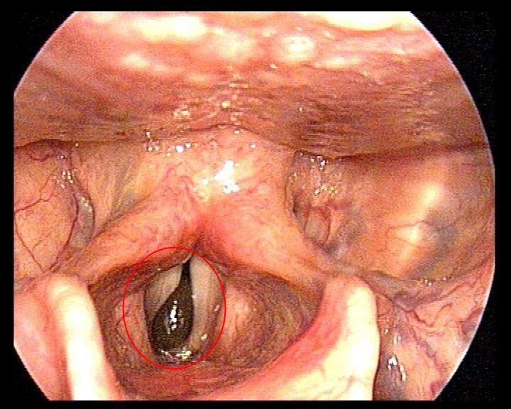 dia song trong hong anh 2