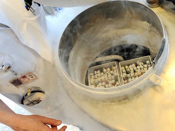 kha nang thu thai anh 1