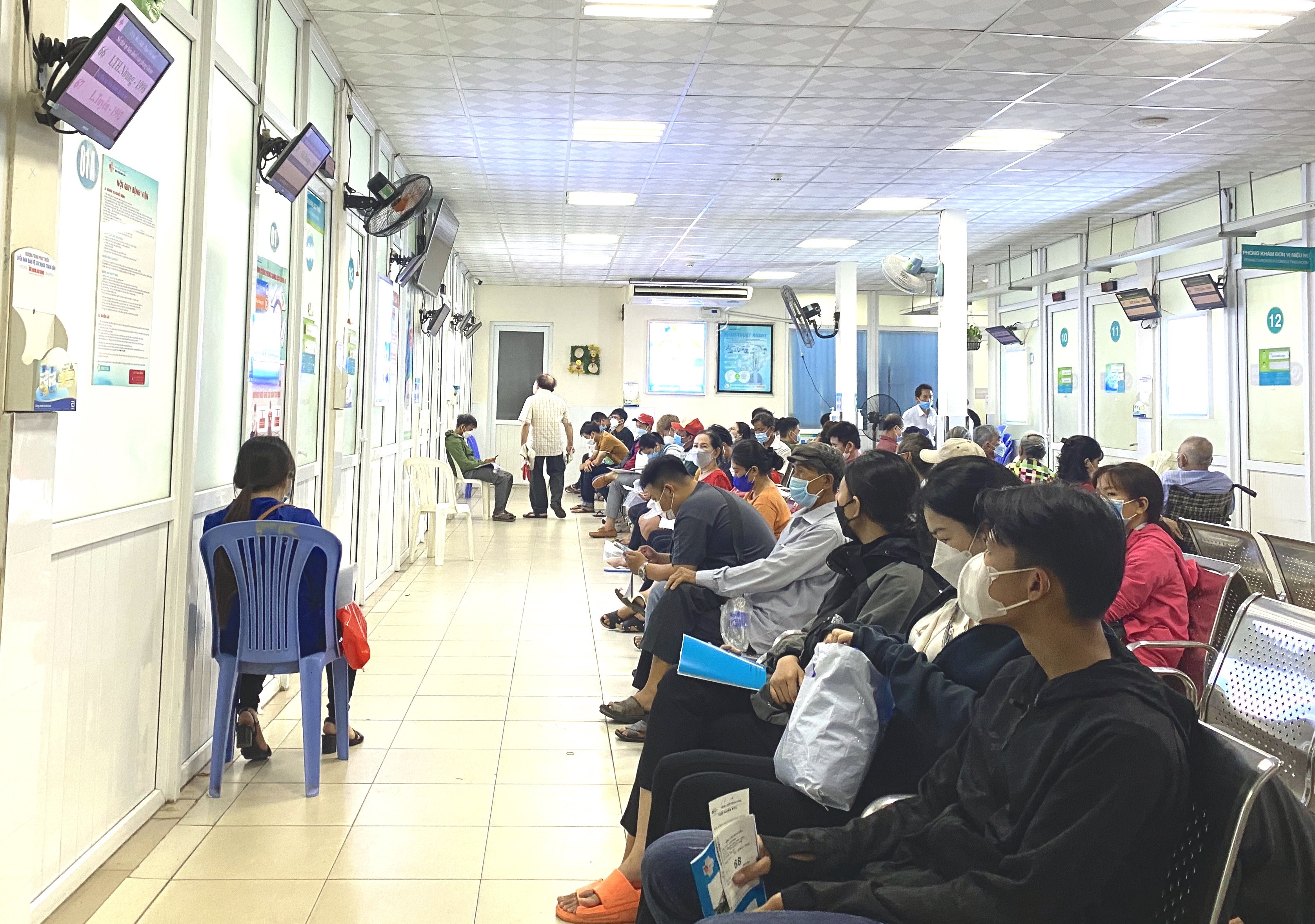 Nhieu nguoi o TP.HCM ton thuong than vi nhiem giun dua cho meo hinh anh