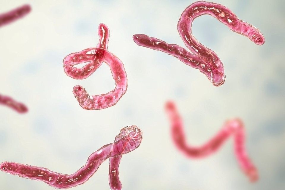 Tuong bi tam than, hoa ra san lam to trong nao hinh anh