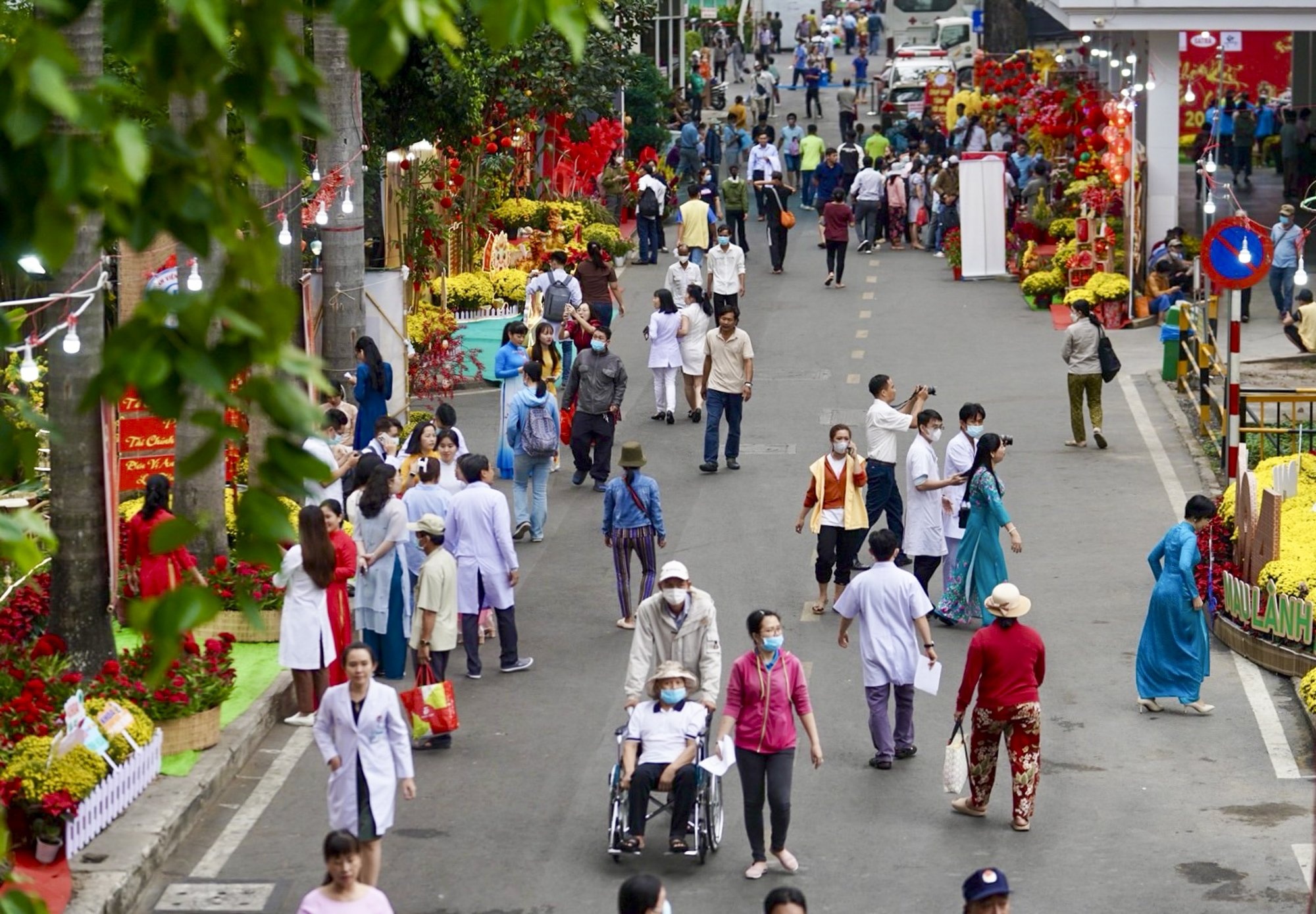 duong hoa cho ray anh 2