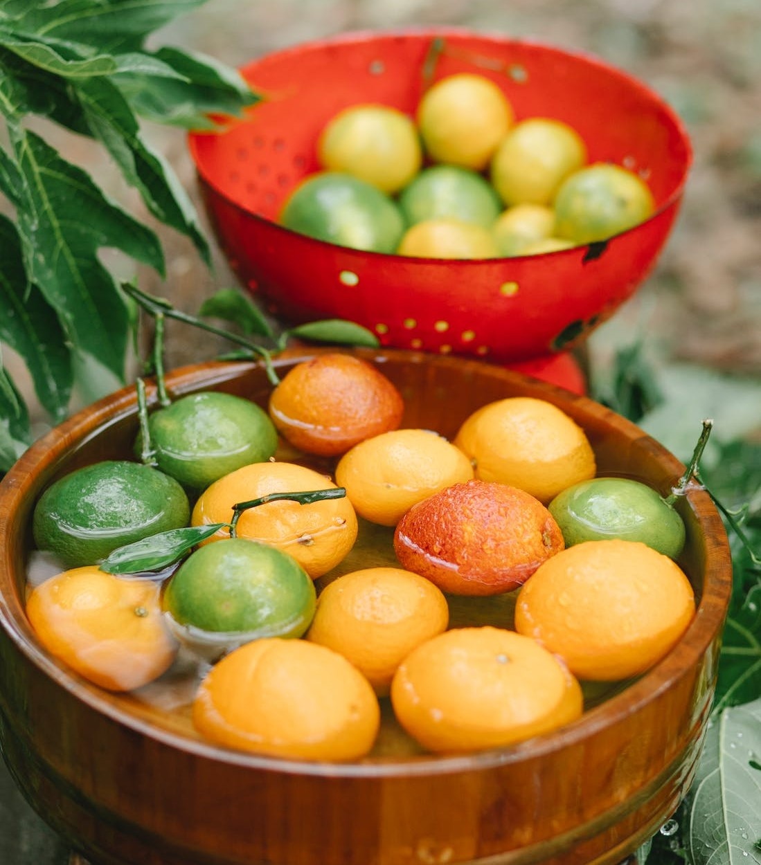 ngam rau bang nuoc muoi anh 1