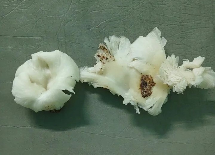 An nam la, 3 nguoi trong mot gia dinh co giat, truy tim mach hinh anh