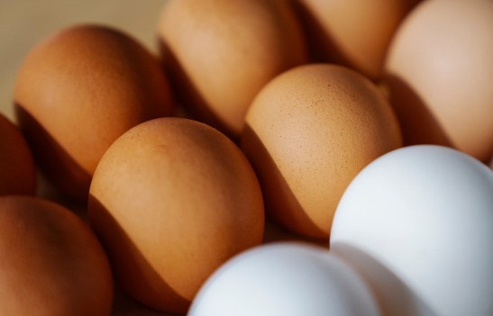 Trung nau va trung trang, loai nao tot hon? hinh anh