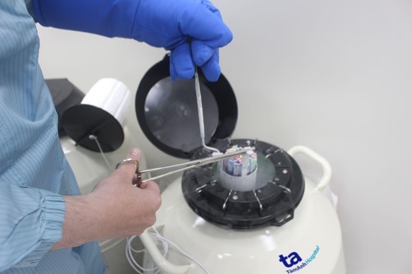 tru dong trung anh 2