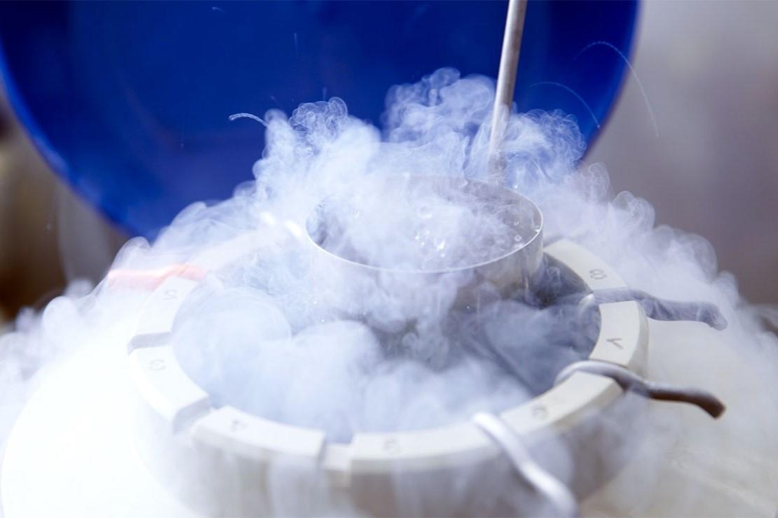 su that tru dong trung anh 3