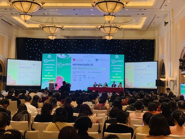 gay me hoi suc anh 1