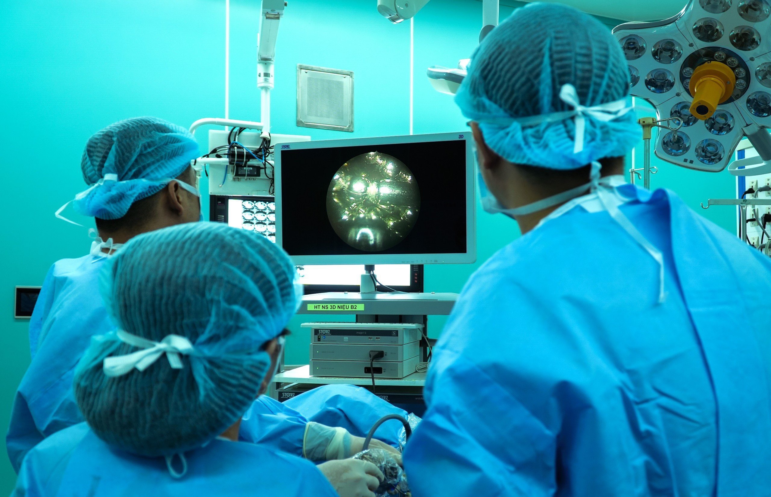 Lay vat la dai 60 cm tu nieu dao nam sinh hinh anh