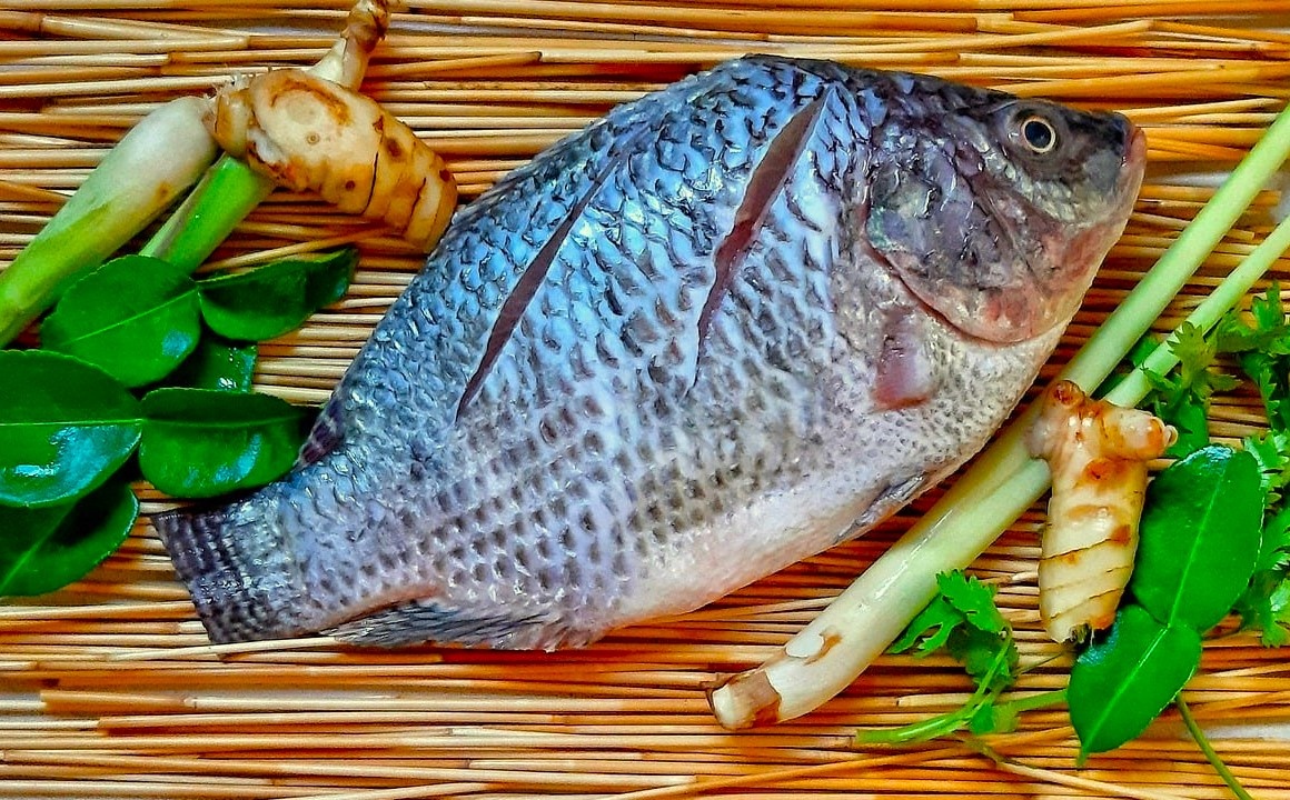 Nhung dieu can biet khi an ca ro phi hinh anh